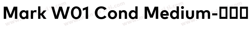 Mark W01 Cond Medium字体转换